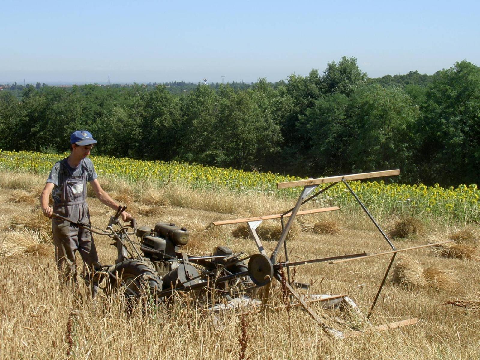 Agriturismo Cascina Degli Ulivi Novi Ligure Eksteriør billede