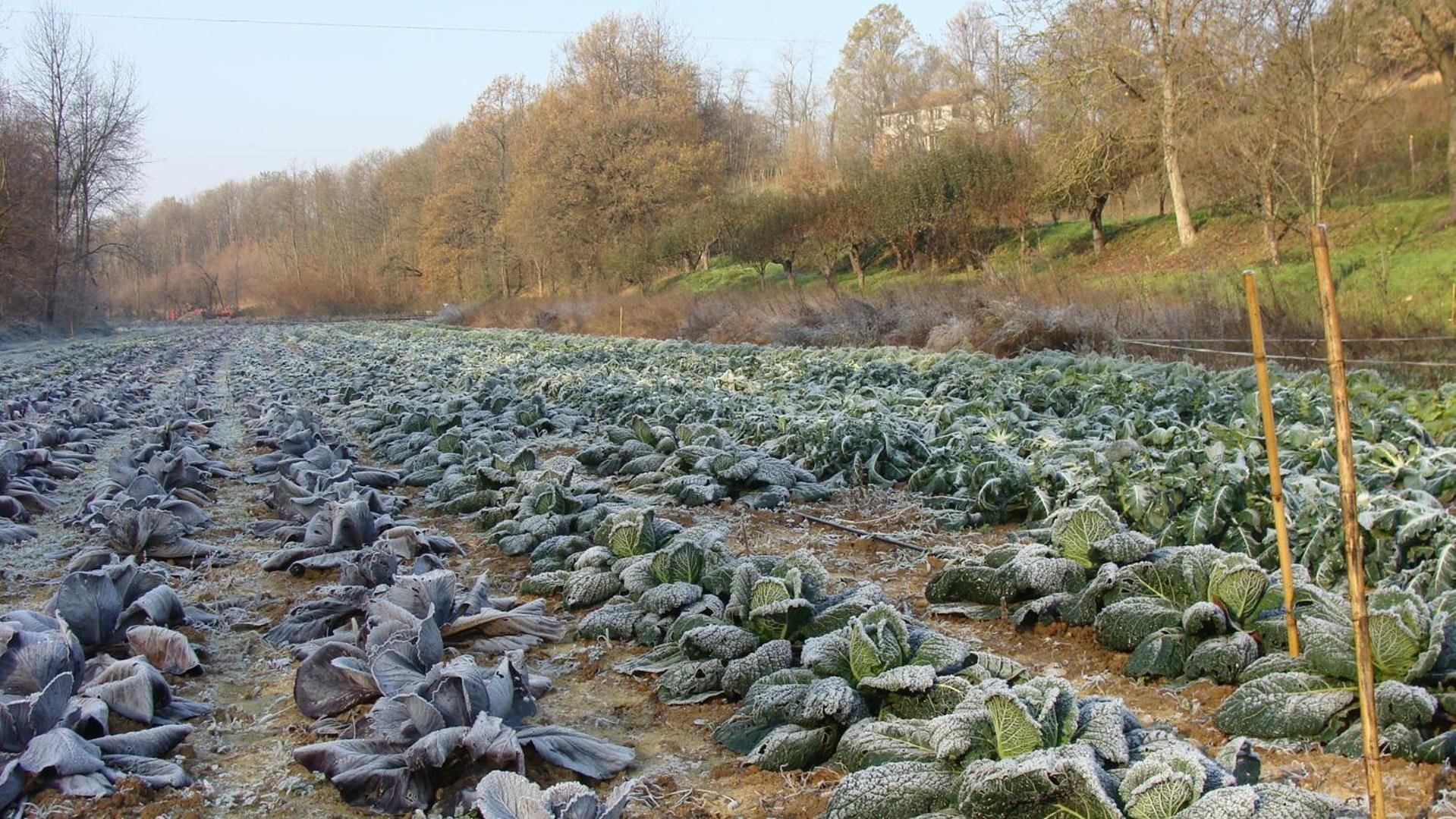 Agriturismo Cascina Degli Ulivi Novi Ligure Eksteriør billede
