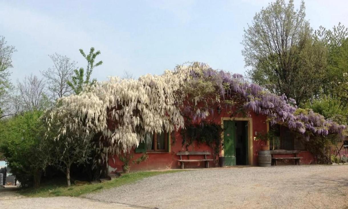Agriturismo Cascina Degli Ulivi Novi Ligure Eksteriør billede
